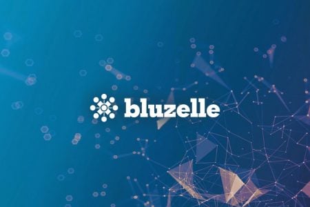 Bluzelle Guide